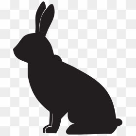 Rabbit Silhouette Png Clip Art Image Transparent Png, Png Download - white rabbit png