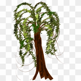 Brown Tree Clip Arts - Arbol Con Hojas Rizadas, HD Png Download - redwood tree png