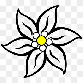 Edelweiss Black Wavy Stripes Picture - Edelweiss Clipart, HD Png Download - black stripes png