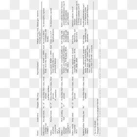 Document, HD Png Download - blood border png