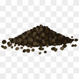 Black Pepper Spices Piper Nigrum - Black Pepper Clipart, HD Png Download - spices png