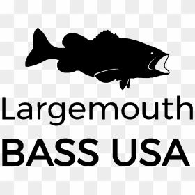 Novabase, HD Png Download - largemouth bass png