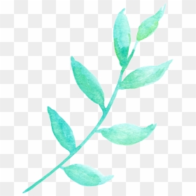 La Luz Del Sol Y La Hoja Verde Cartoon Png Transparente - Flower, Png Download - flower cartoon png