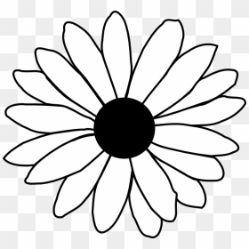 Flower Line Drawing Clip Art Free - Daisy Black And White, HD Png Download - flower line png
