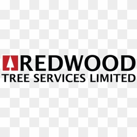 Redwood Logo - Oval, HD Png Download - redwood tree png