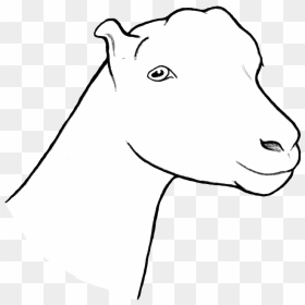 Goat, HD Png Download - goat head png