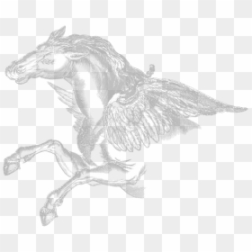 Sketch, HD Png Download - pegasus png