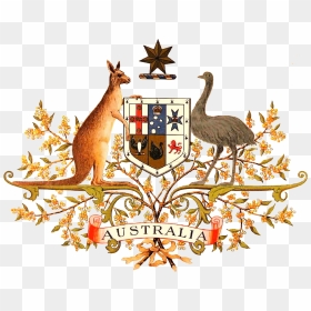 Australian Coat Of Arms, HD Png Download - scumbag steve hat png