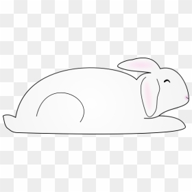 White Bunny Rabbit - Rabbit, HD Png Download - white rabbit png