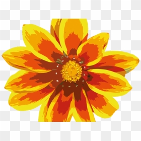 Transparent Sunbeam Clipart - Red And Yellow Flower Png, Png Download - orange flower png
