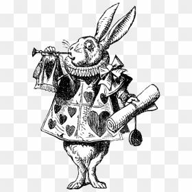 White Rabbit Png, Transparent Png - white rabbit png