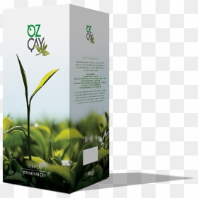 Theic - Brochure, HD Png Download - blowing leaves png
