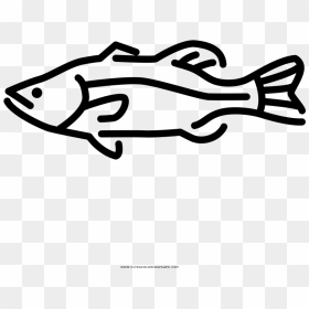 Largemouth Bass Coloring Page - Line Art, HD Png Download - largemouth bass png