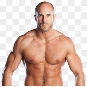 Antonio Cesaro Png , Png Download - Antonio Cesaro Png, Transparent Png - cesaro png