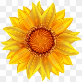 Flower Clipart Transparent Image Transparent Stock - Make A Sunflower In Illustrator, HD Png Download - orange flower png