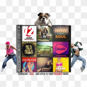 Mutznutz Music Pack 2020, HD Png Download - scumbag steve hat png