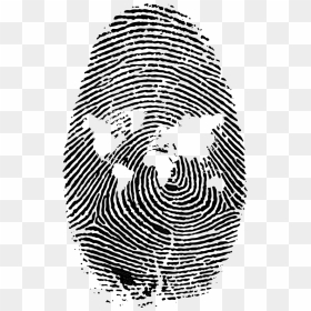 Fingerprint Computer Icons Fingerabdruckscanner Download - Transparent Background Finger Print Png, Png Download - fibonacci png