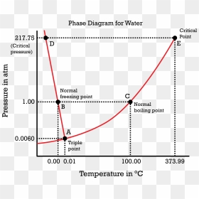Phase Diagram Of Water System, HD Png Download - frozen ice cube png