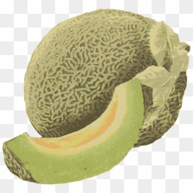 Honeydew Melon - Honeydew, HD Png Download - honeydew png