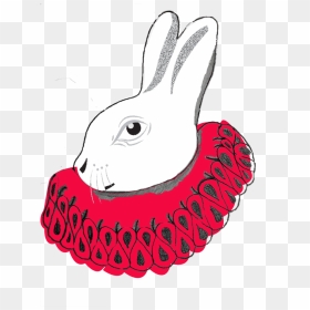 Whiterabbit - Domestic Rabbit, HD Png Download - white rabbit png