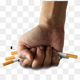 Smoking Cessation, HD Png Download - lit cigarette png