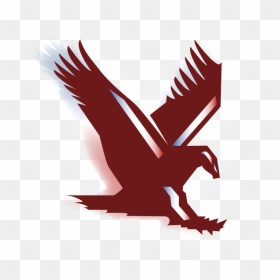 Eagle Bulk Shipping Logo , Png Download - Eagle Bulk Shipping, Transparent Png - george w bush png