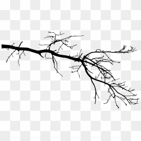Transparent Tree Branch Png, Png Download - palm branch png
