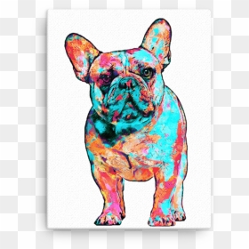 French Bulldog Colorful Painting Canvas - French Bulldog, HD Png Download - french bulldog png