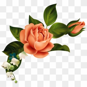 Orange Flower Clipart Corner - Shawn Mendes Rose Png, Transparent Png - orange flower png