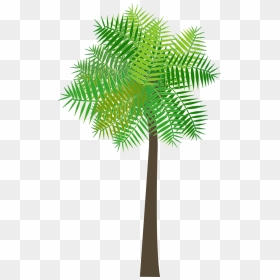 Christmas Tree, HD Png Download - palm branch png