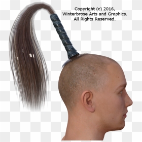 Transparent Horse Tail Png - Man Horse Tail Hair, Png Download - justin bieber hair png