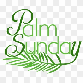 Images Palm Sunday Clipart Library - Palm Sunday Free Clipart, HD Png Download - palm branch png