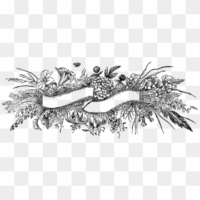 Banner Clip Art Fancy - Banner Black And White Design, HD Png Download - white blank banner png