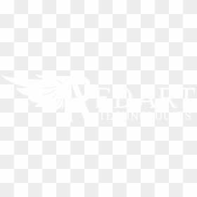 Black-and-white, HD Png Download - white blank banner png