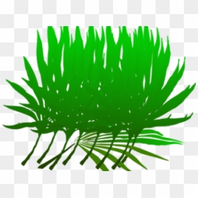 Las Palmas, Hd Png Download - Clip Art, Transparent Png - palm branch png