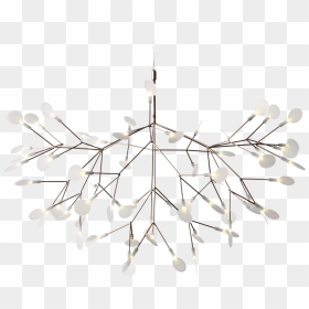 Heracleum Moooi 98, HD Png Download - light fixture png