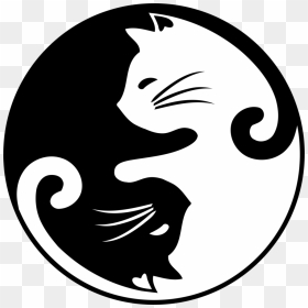 Yin Yang Cat - Cat Yin Yang Symbol, HD Png Download - yin and yang png