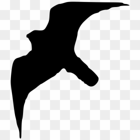 Peregrine Falcon Silhouette, HD Png Download - falco png