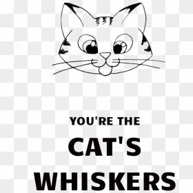 You"re The Cat"s Whiskers - Peter Sutherland Bp, HD Png Download - cat whiskers png