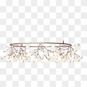 Moooi Heracleum The Big O, HD Png Download - light fixture png