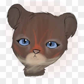 Whiskers Kitten Snout Paw Eye - Illustration, HD Png Download - cat whiskers png