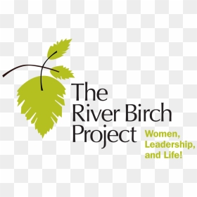 The River Birch Project Logo - Graphic Design, HD Png Download - river birch png