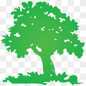 Thumb Image - Tree Logo Clip Art, HD Png Download - tree logo png