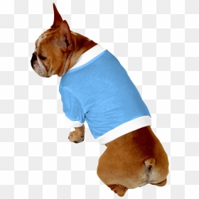 Clip Art Boxer French Bulldog - French Bulldog, HD Png Download - french bulldog png