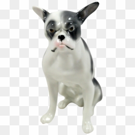 Jpg Library Library Puppy Transparent Boston Terrier - French Bulldog, HD Png Download - french bulldog png
