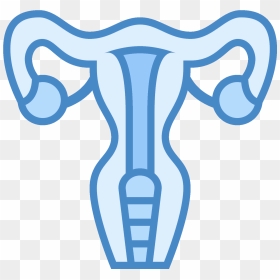 This Icon Represents The Uterus Of A Female Human - Uterus Icon Png, Transparent Png - vagina png