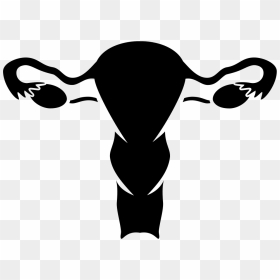 Nfm Vaginal Bleeding - Female Reproductive System Logo, HD Png Download - vagina png