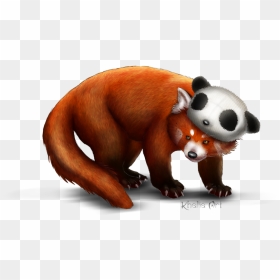 Drawing Roblox Arsenal Red Panda