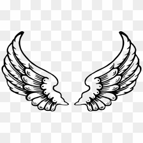Angel Wings Coloring Pages, HD Png Download - white feather png