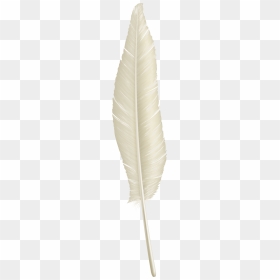 White Feather Png Download - Gown, Transparent Png - white feather png